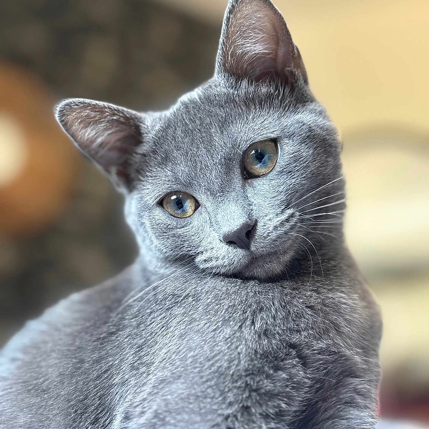 Simone