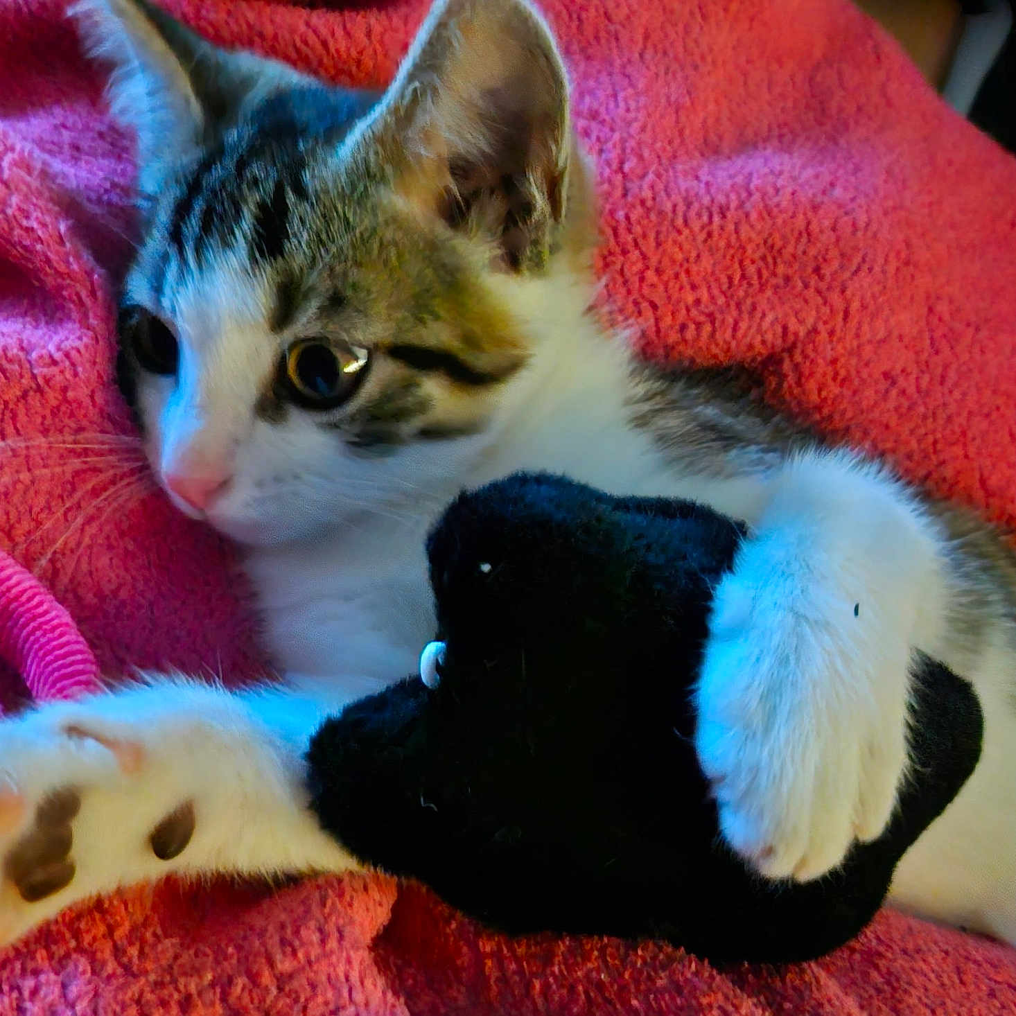 Tigrou