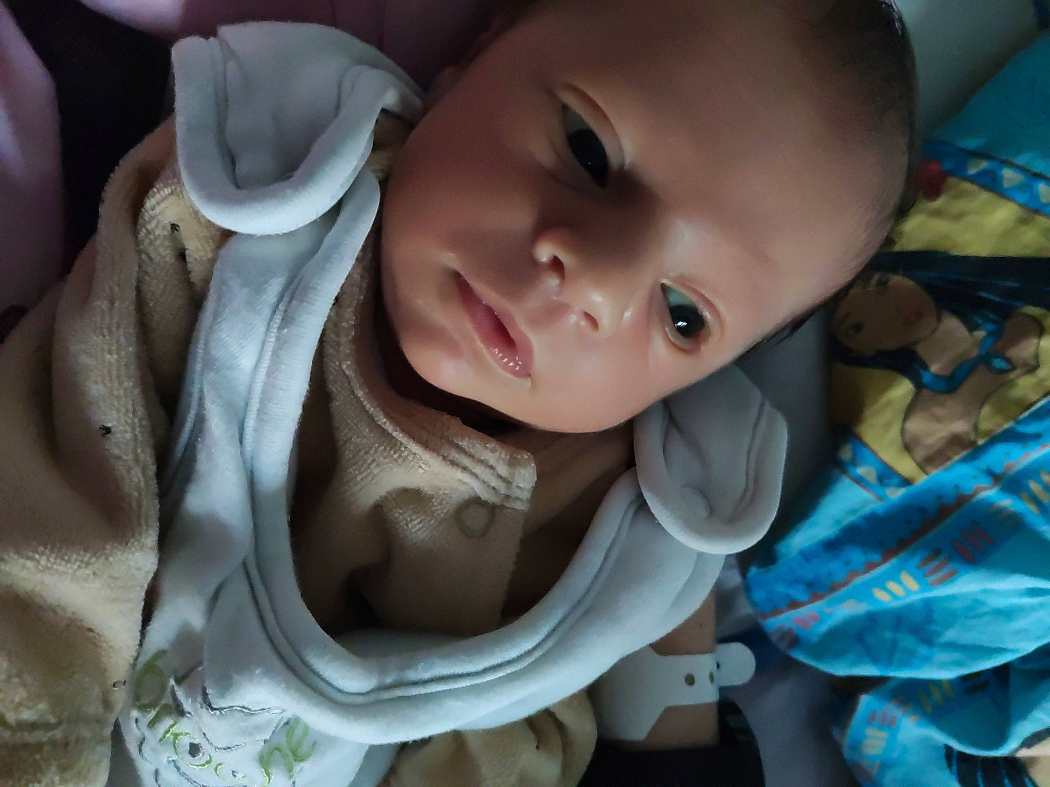 Logan participe au concours pour gagner de l'argent avec cette photo : baby, baby_carriage, baby_products, baby_toddler_clothing, car_seat, cheek, child, comfort, ear, eyebrow, eyelash, grass, happy, iris, lip, mouth, nose, person, smile, toddler