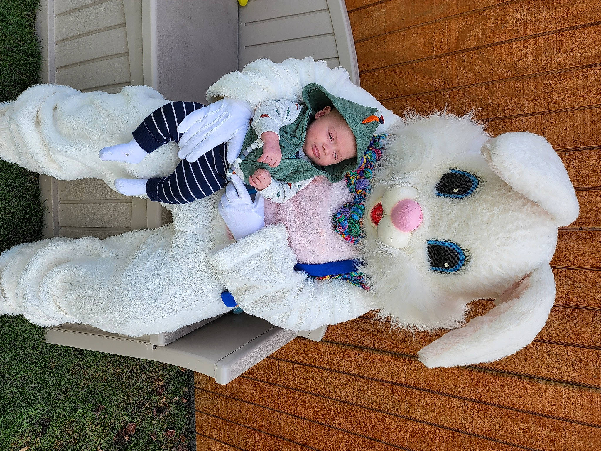 Bentlee is registered to the contest to win money with this photo: baby_toddler_clothing, child, cosplay, costume, eye, fictional_character, fun, fur, fur_clothing, glove, happy, hat, headwear, lap, mammal, person, plant, sitting, stuffed_toy, toy