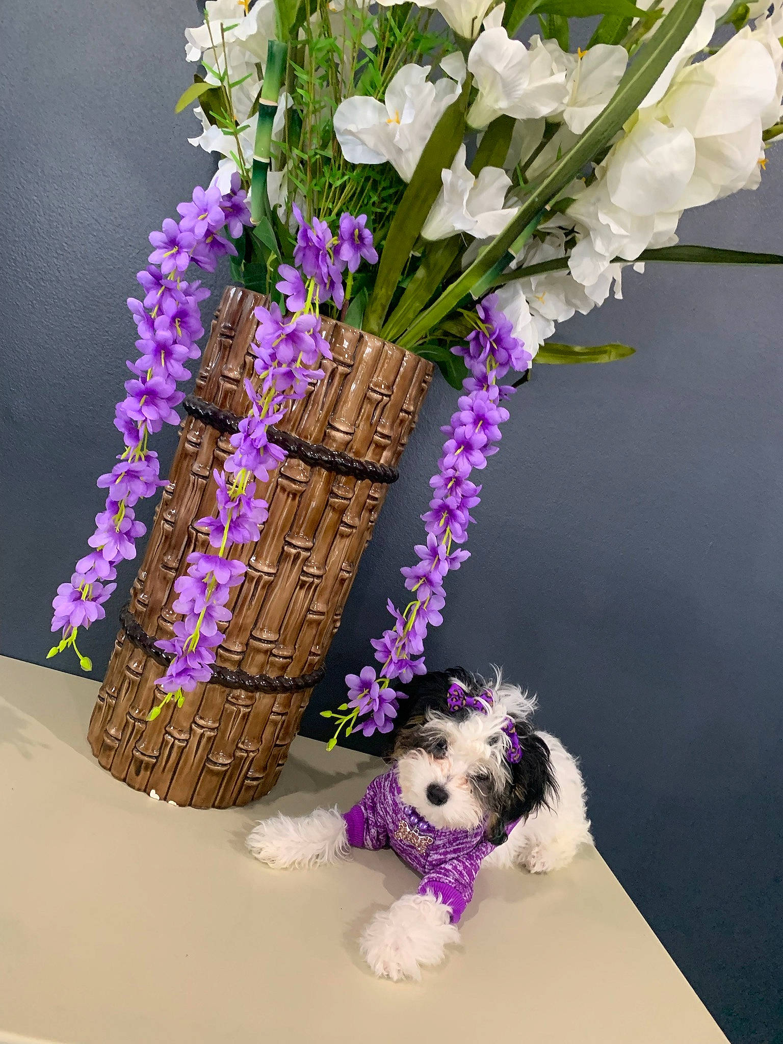 Princess-diva joined the competition — help win amazing prizes! art, artificial_flower, bouquet, companion_dog, cut_flowers, dog, event, floral_design, flower, flower_arranging, flowering_plant, lavender, magenta, petal, plant, purple, table, toy, twig, violet