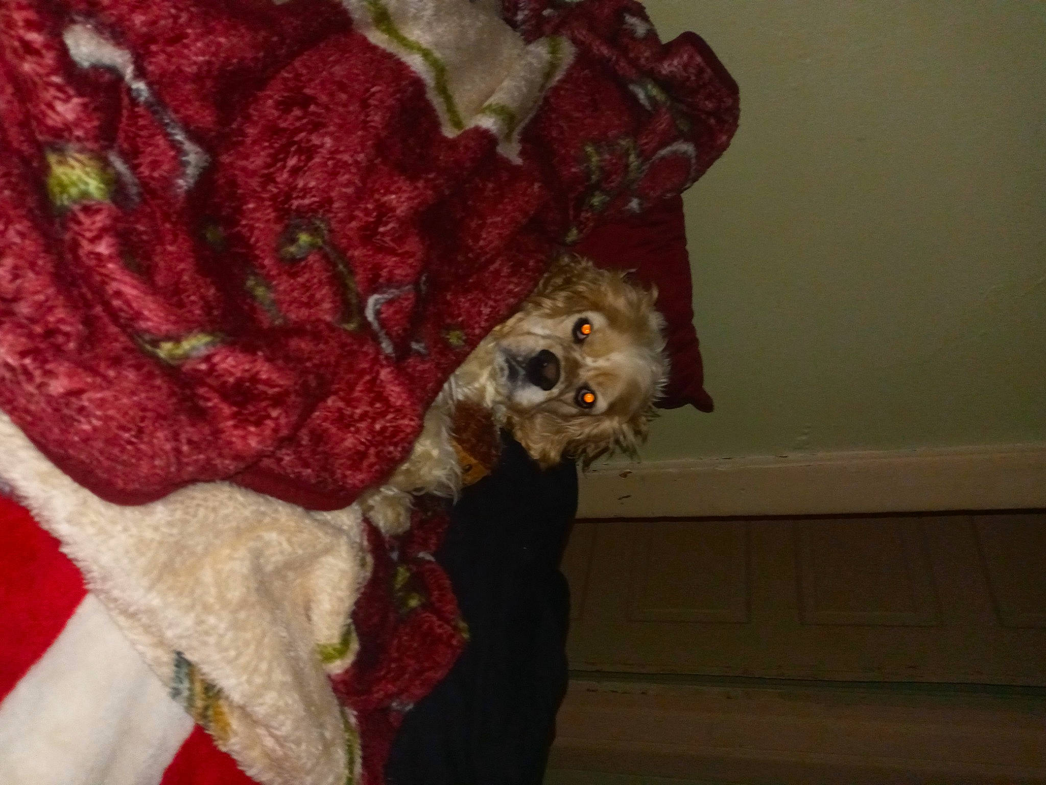 King joined the competition — help win amazing prizes! art, artifact, carmine, creative_arts, event, flesh, fur, mask, natural_material, pattern, plant, sculpture, sleeve, statue, thread, tree, visual_arts, wood, wool, woolen