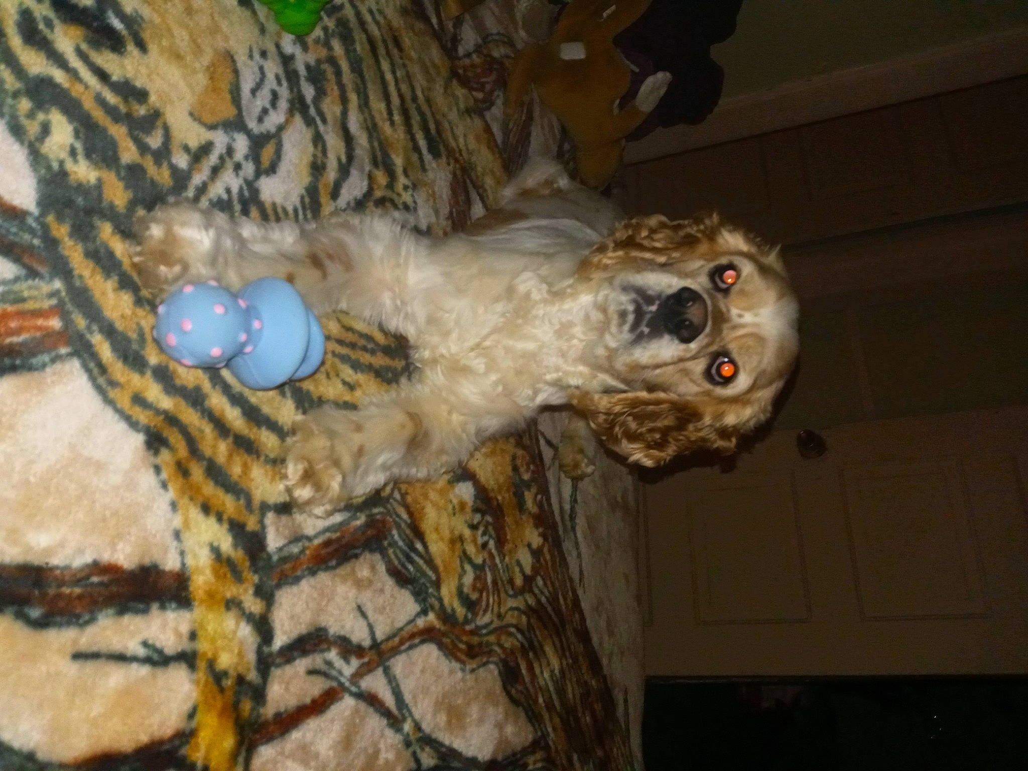 King joined the competition — help win amazing prizes! animal_product, art, beak, big_cats, bird_of_prey, feather, felidae, fur, natural_material, owl, skull, stuffed_toy, tail, terrestrial_animal, thread, tree, visual_arts, wildlife, wood, wool