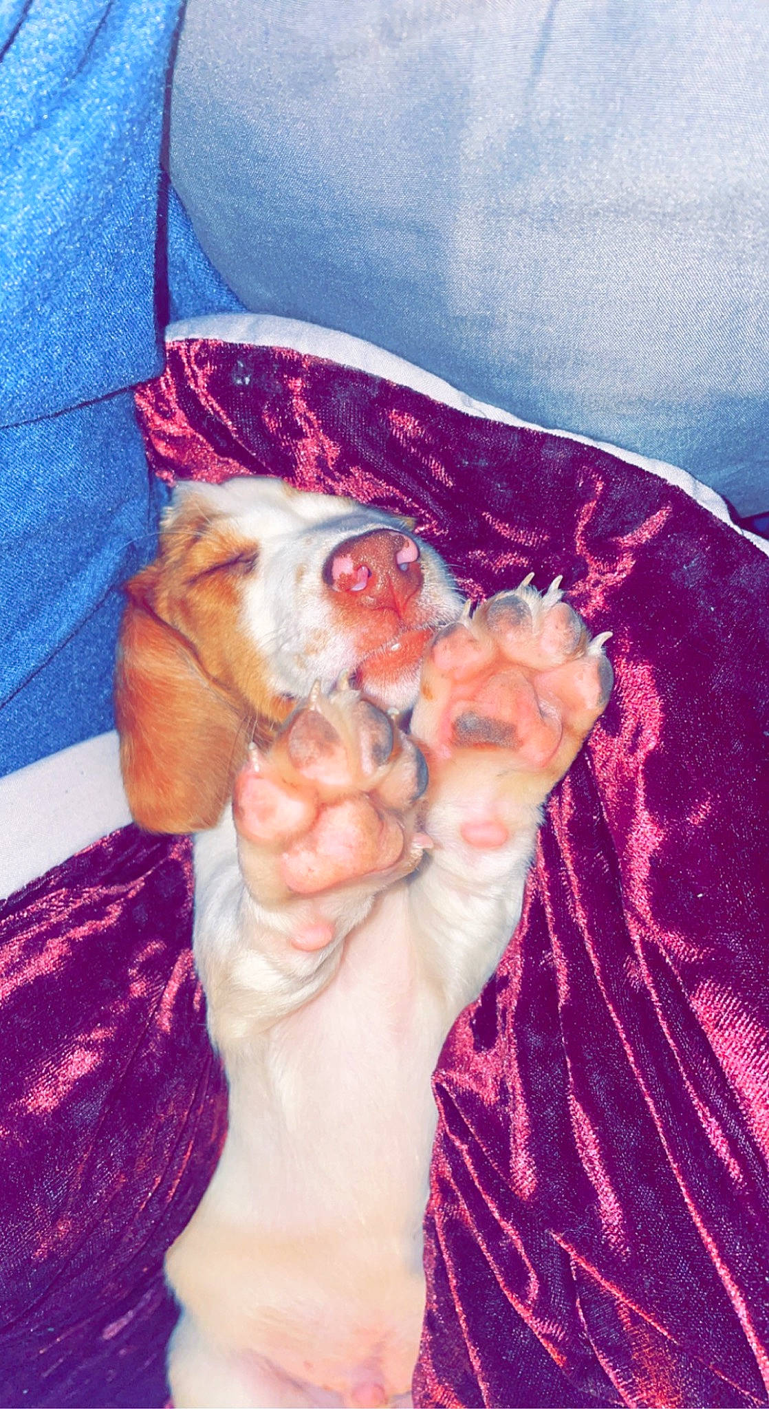 Bubba is registered to the contest to win money with this photo: abdomen, art, barechested, beard, chest, electric_blue, eye, fawn, fictional_character, gesture, human_body, jaw, lip, magenta, nail, pink, religious_item, sculpture, thumb, trunk