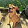 Marley