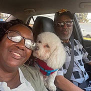 Stitch is registered to the contest to win money with this photo: car, dog, white_dog, fluffy_dog, harness, woman, man, glasses, smile, seatbelt, driver, passenger, interior, casual, portrait, affection, pet, road, window, clothing