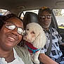 car, dog, white_dog, fluffy_dog, harness, woman, man, glasses, smile, seatbelt, driver, passenger, interior, casual, portrait, affection, pet, road, window, clothing