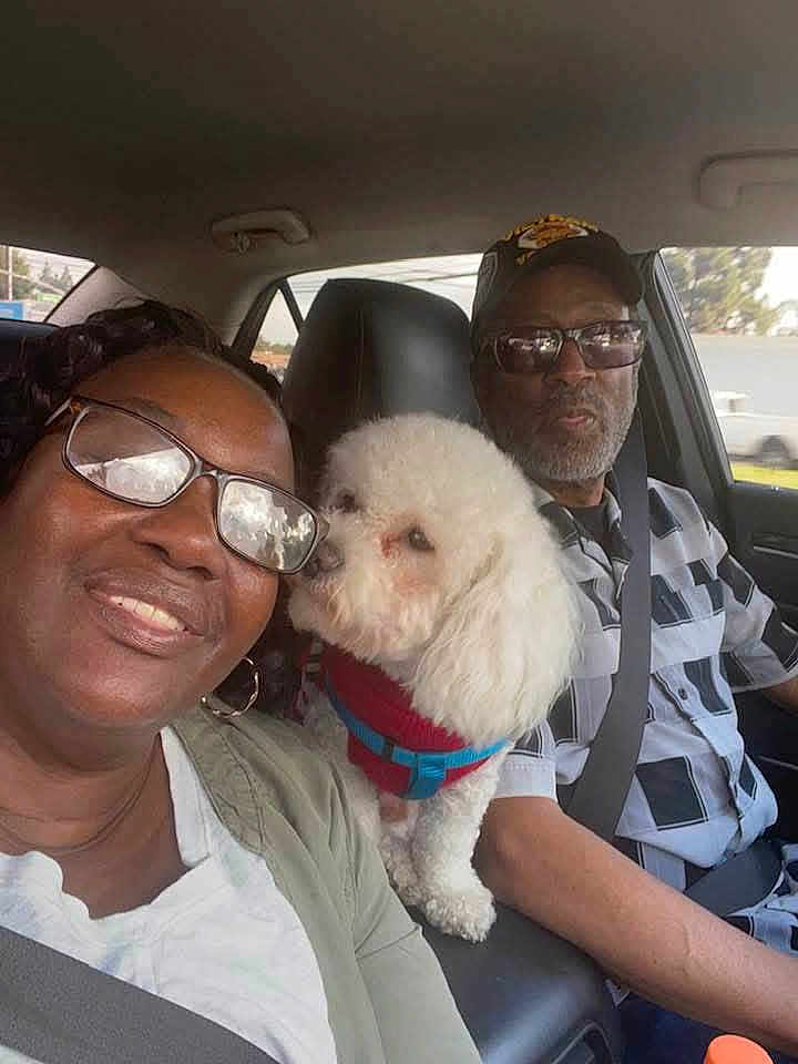 Stitch is registered to the contest to win money with this photo: car, dog, white_dog, fluffy_dog, harness, woman, man, glasses, smile, seatbelt, driver, passenger, interior, casual, portrait, affection, pet, road, window, clothing