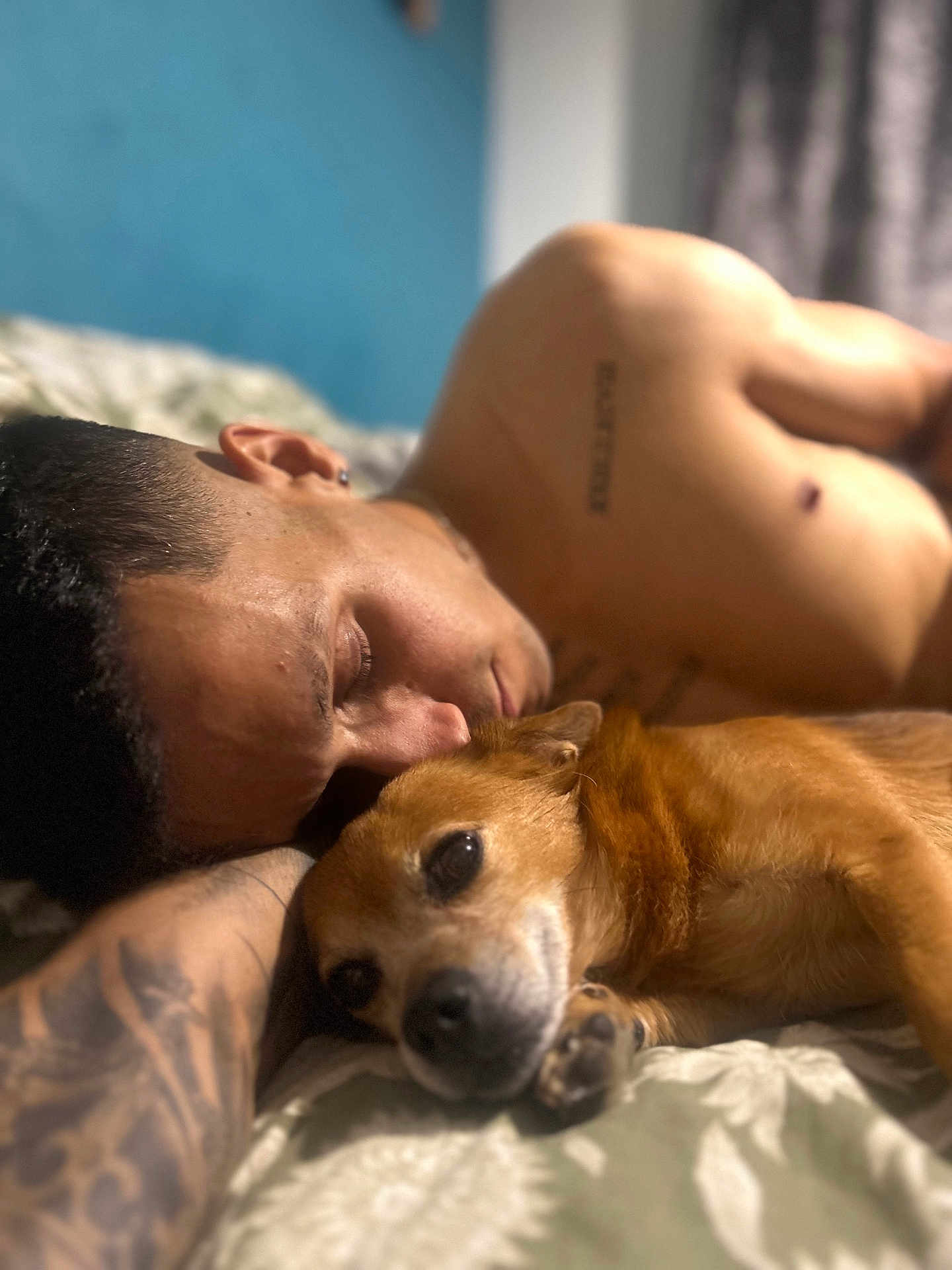Monty joined the competition — help win amazing prizes! man, dog, bed, tattoo, shirtless, resting, indoor, closeup, pet, animal, human, sleeping, face, fur, brown_dog, comfort, relaxation, skin, home, portrait