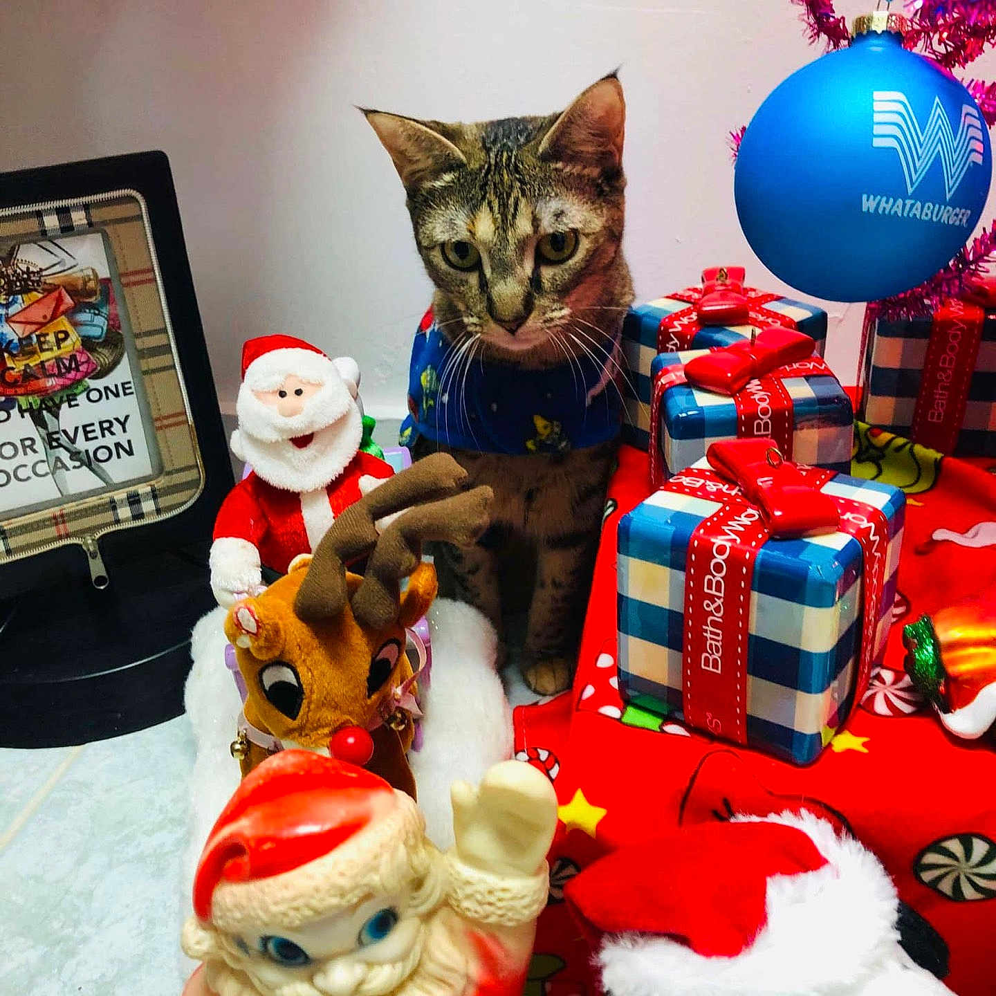 Kukita Perez is registered to the contest to win money with this photo: blue_ball, cat, celebration, christmas, collar, decorations, festive, floor, gifts, holiday, holiday_scene, indoor, ornament, plush, red_ribbon, reindeer, santa_claus, stuffed_toy, tabby, table