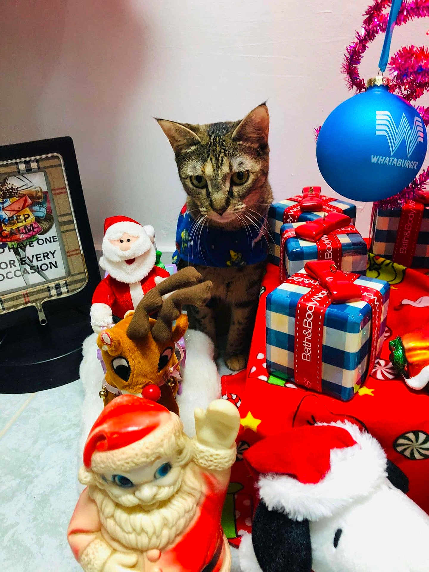 Kukita Perez is registered to the contest to win money with this photo: cat, tabby, christmas, holiday, gifts, santa_claus, reindeer, stuffed_toy, decorations, red_ribbon, blue_ball, festive, plush, collar, indoor, table, floor, ornament, holiday_scene, celebration