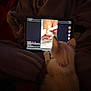 Babi joined the competition — help win amazing prizes! cat, tablet, video, pedicure, blanket, purple_collar, cozy, indoor, pet, watching, technology, feline, soft_lighting, close_up, nail_care, gloved_hand, screen, relaxed, fur, curious