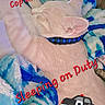 Grogu is registered to the contest to win money with this photo: animal, blanket, blue, cartoon, cat, closeup, collar, cozy, cute, domestic_animal, feline, fur, indoors, nap, pet, resting, sleeping, soft, text_overlay, white_cat