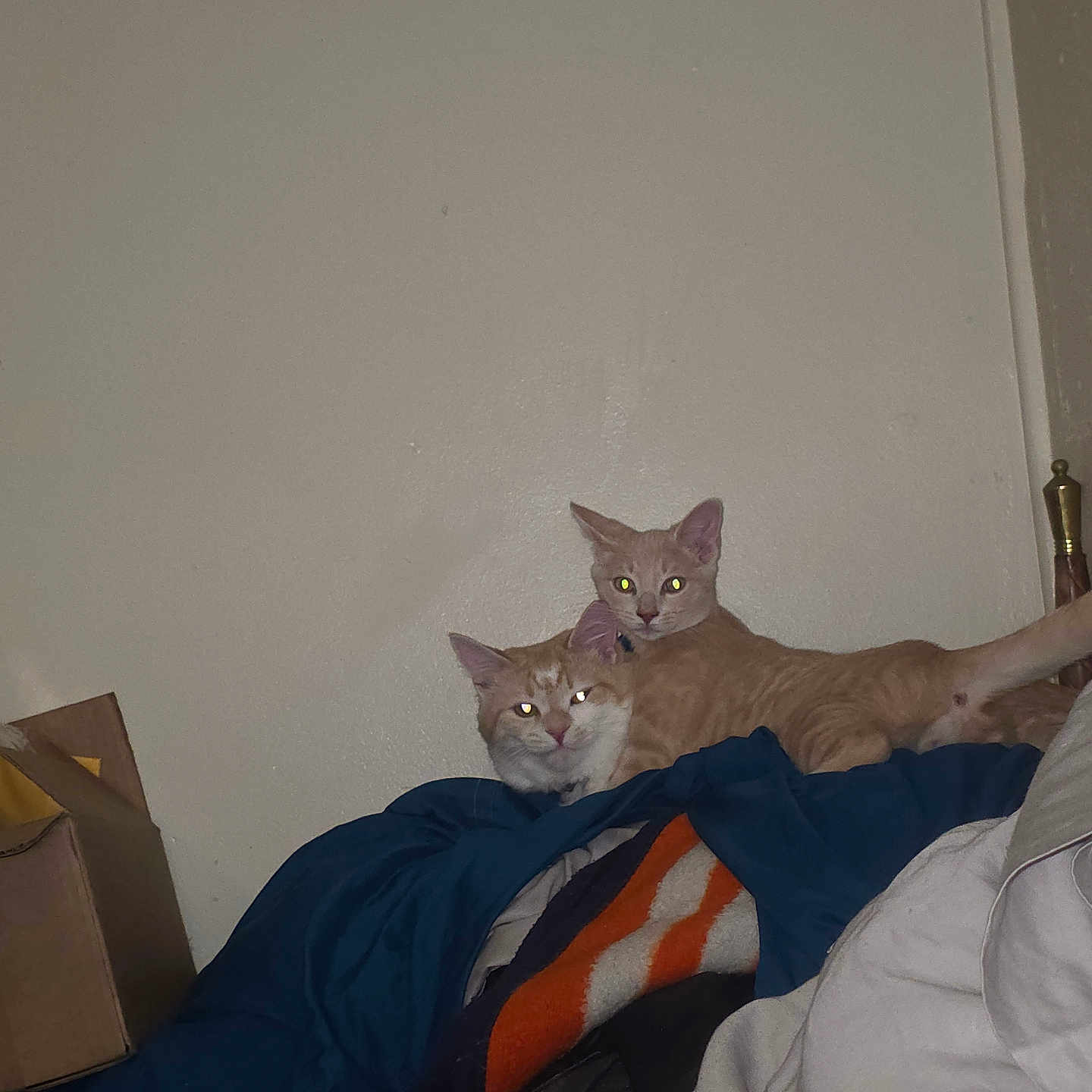 Kenobi And Grogu