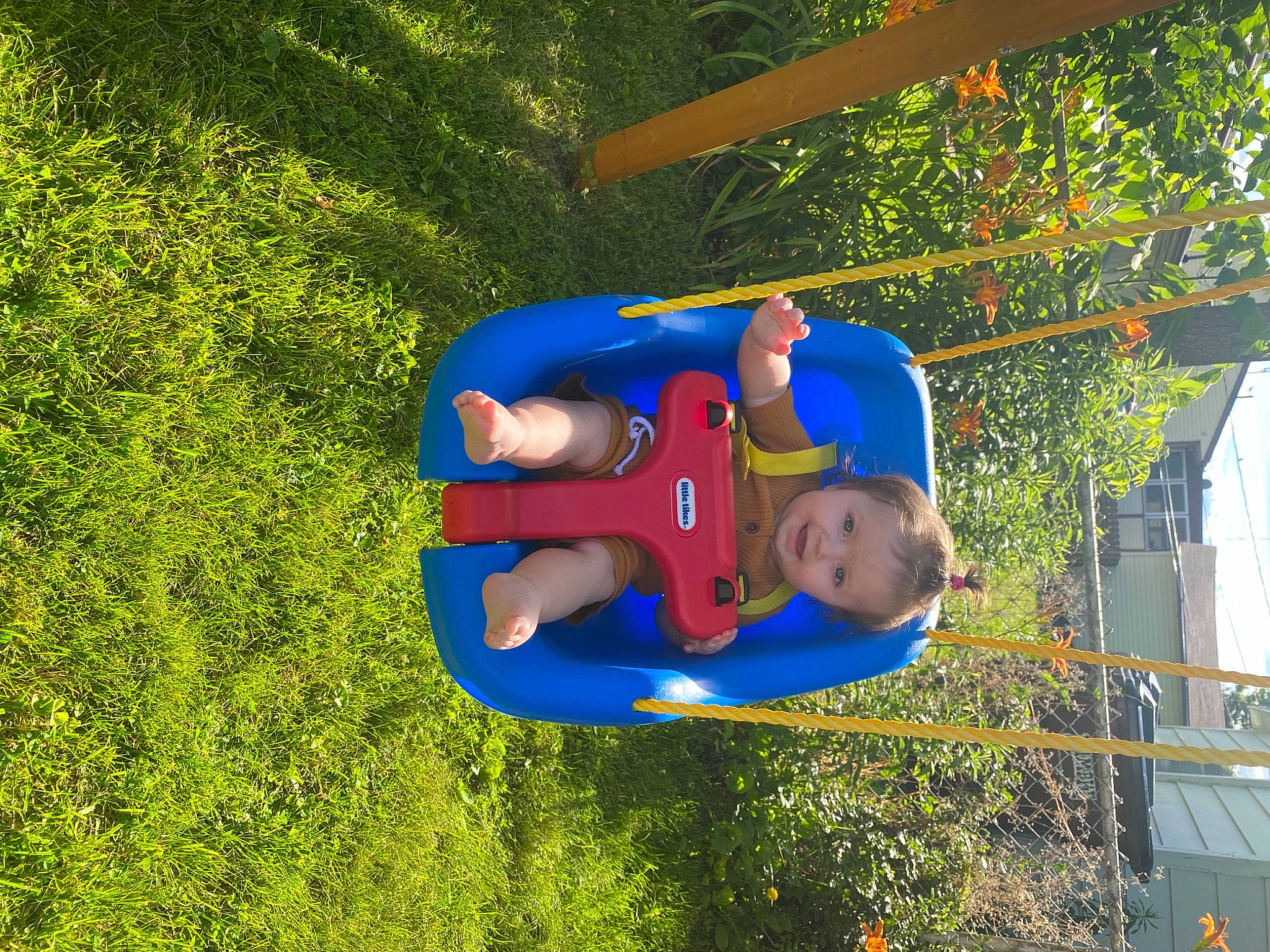 Allison is registered to the contest to win money with this photo: baby_toddler_clothing, child, city, electric_blue, fictional_character, fun, grass, happy, hat, leisure, outdoor_play_equipment, people_in_nature, person, plant, play, playground, recreation, t_shirt, toddler, tree