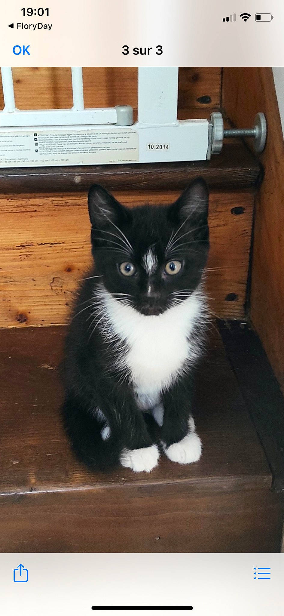 Snoopy participe au concours pour gagner de l'argent avec cette photo : black_cat, box, carnivore, cat, domestic_short_haired_cat, door, felidae, floor, flooring, fur, hardwood, paw, sitting, small_to_medium_sized_cats, snout, tail, whiskers, window, wood, wood_stain