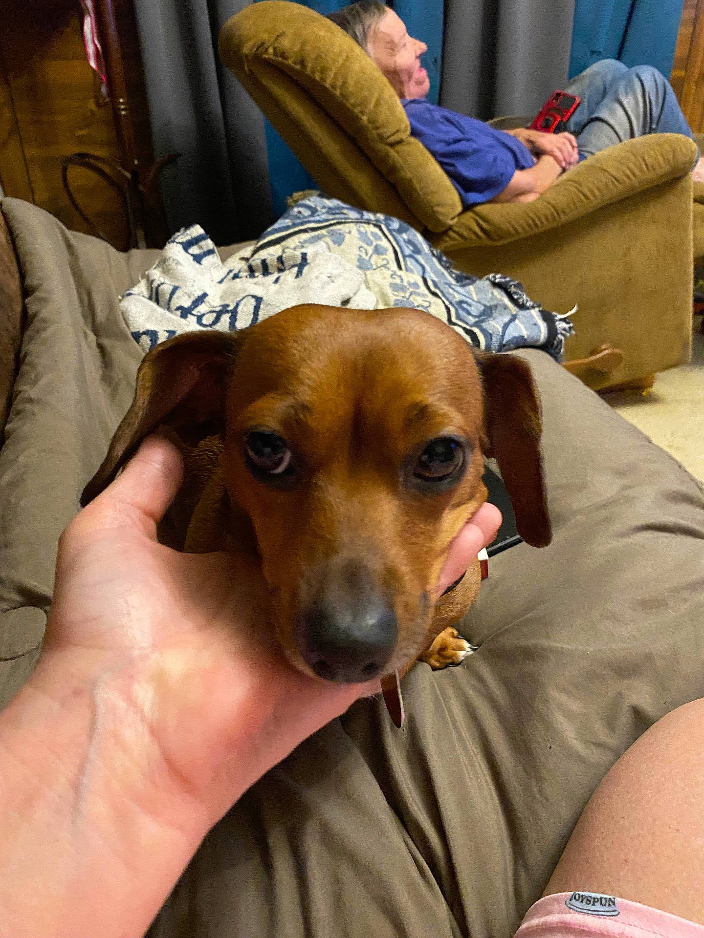 Sassy is registered to the contest to win money with this photo: animal, armchair, bodypart, canine, chair, couch, cushion, dog, face, finger, furniture, hand, head, homedecor, hound, person, pet, photography, portrait, puppy