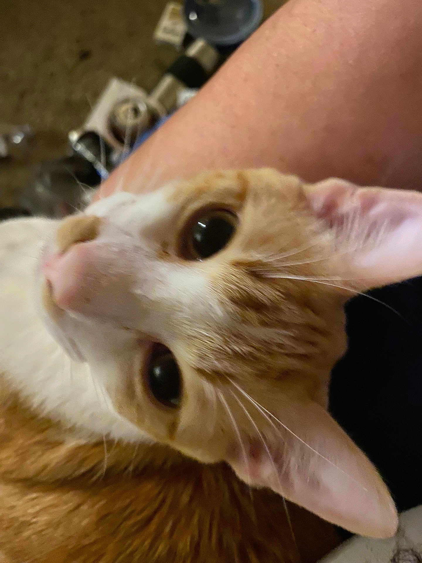 Tony