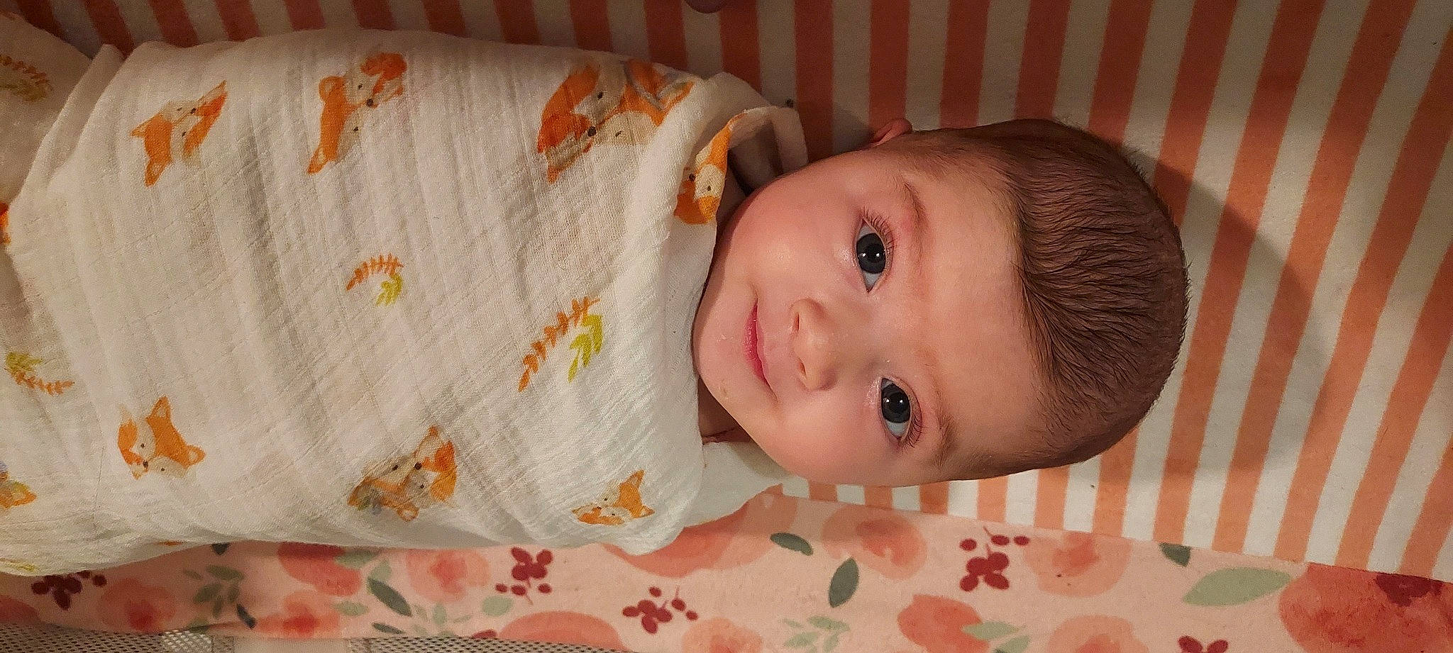 Isabella joined the competition — help win amazing prizes! baby, baby_products, baby_safety, baby_toddler_clothing, cheek, child, eyelash, flooring, happy, iris, linens, lip, nose, pattern, person, room, skin, sleeve, smile, toddler