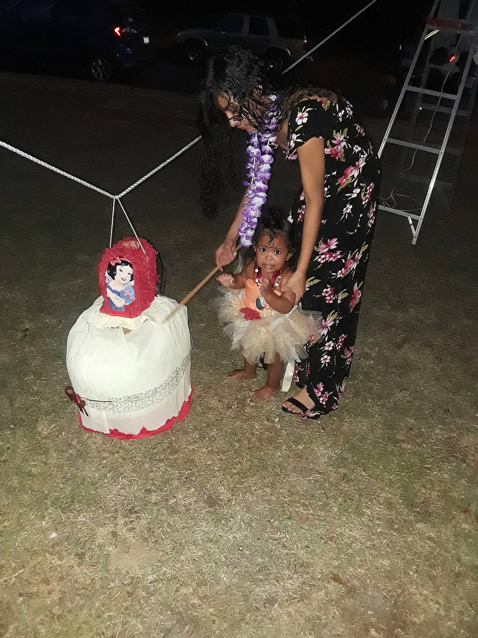 Ray .d'Asia joined the competition — help win amazing prizes! cake, canidae, companion_dog, dog, dress, non_sporting_group, person, toy_dog