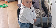 Soan a rejoint le concours — aidez-le/la à gagner de superbes lots ! toddler, child, indoor, plant, potted_plant, dog, pet, wooden_floor, toys, basket, white_hoodie, jeans, white_shoes, curious, looking_back, cozy, home, furniture, sleeping_dog, floor