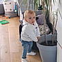 toddler, child, indoor, plant, potted_plant, dog, pet, wooden_floor, toys, basket, white_hoodie, jeans, white_shoes, curious, looking_back, cozy, home, furniture, sleeping_dog, floor