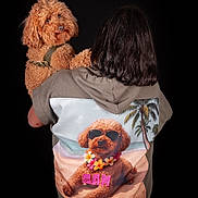 Sam participe au concours pour gagner de l'argent avec cette photo : animal, back_view, beach_print, black_background, casual_clothing, curly_hair, cute, dog, fashion, flower_lei, holding, hoodie, human, indoor, leash, person, pet, portrait, sunglasses, tropical