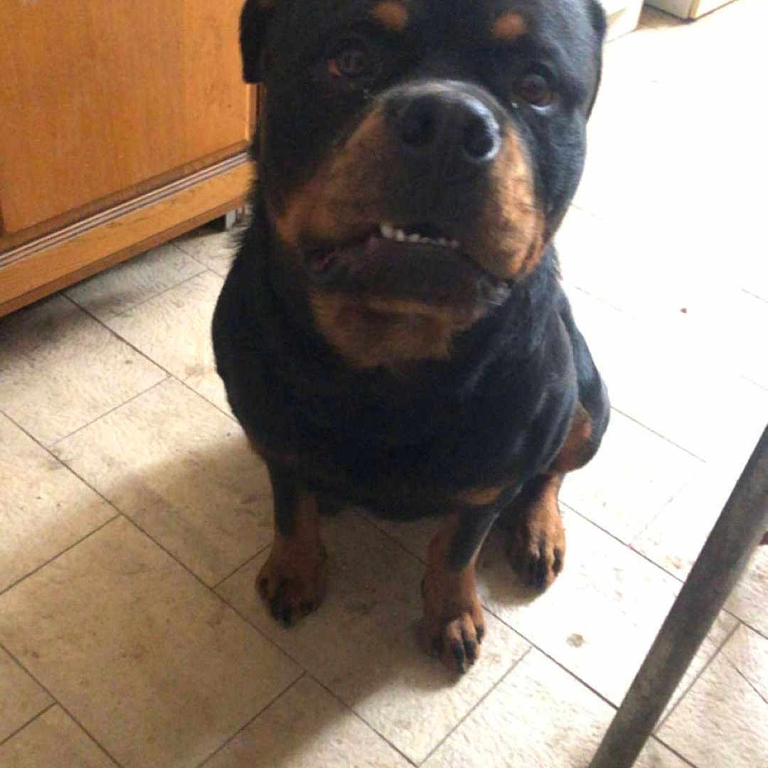 Satan