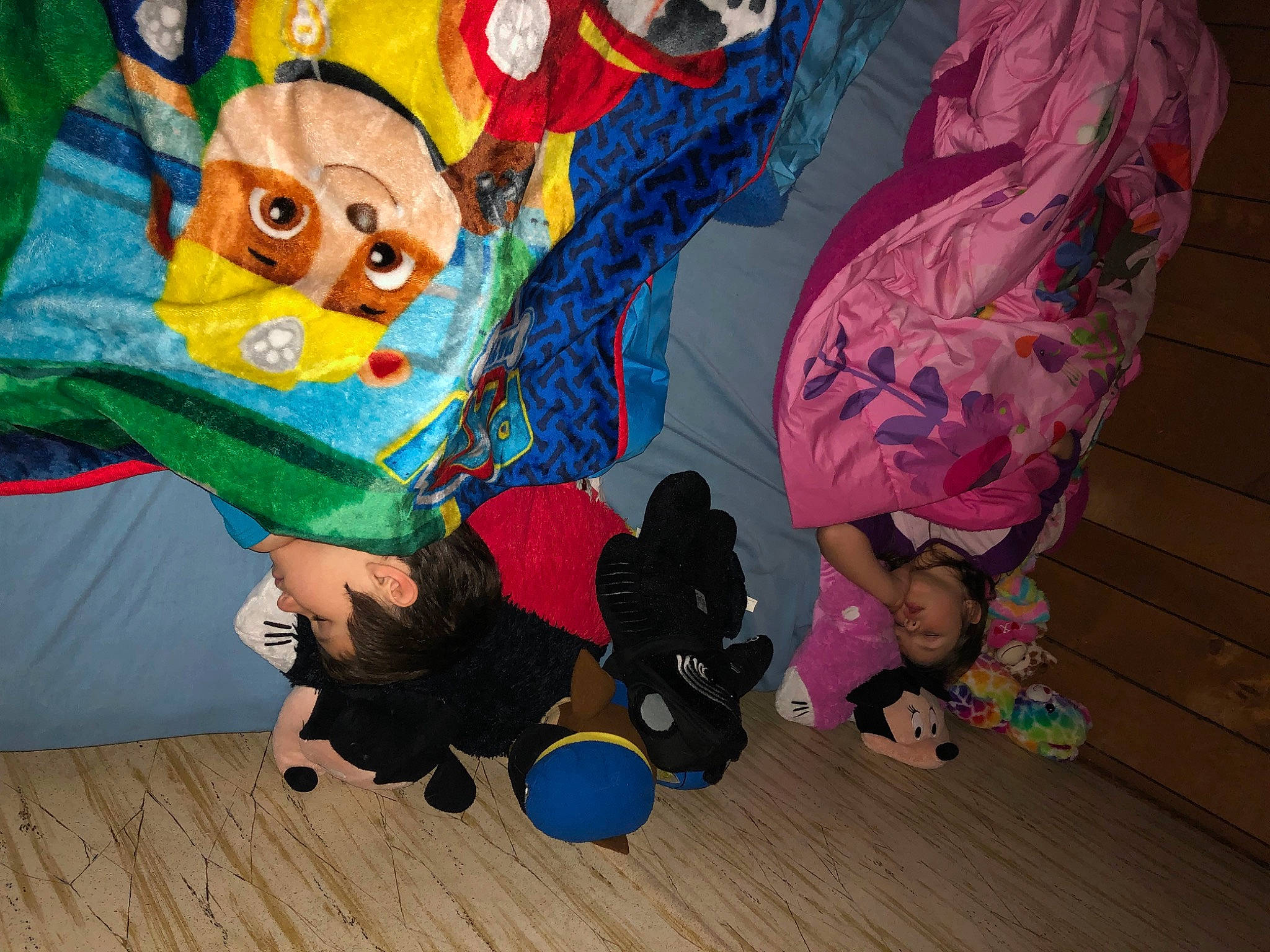 Seth joined the competition — help win amazing prizes! art, child, event, flooring, fun, happy, hardwood, leisure, pattern, person, play, room, sitting, t_shirt, toddler, toy, tree, visual_arts, wood, wood_flooring