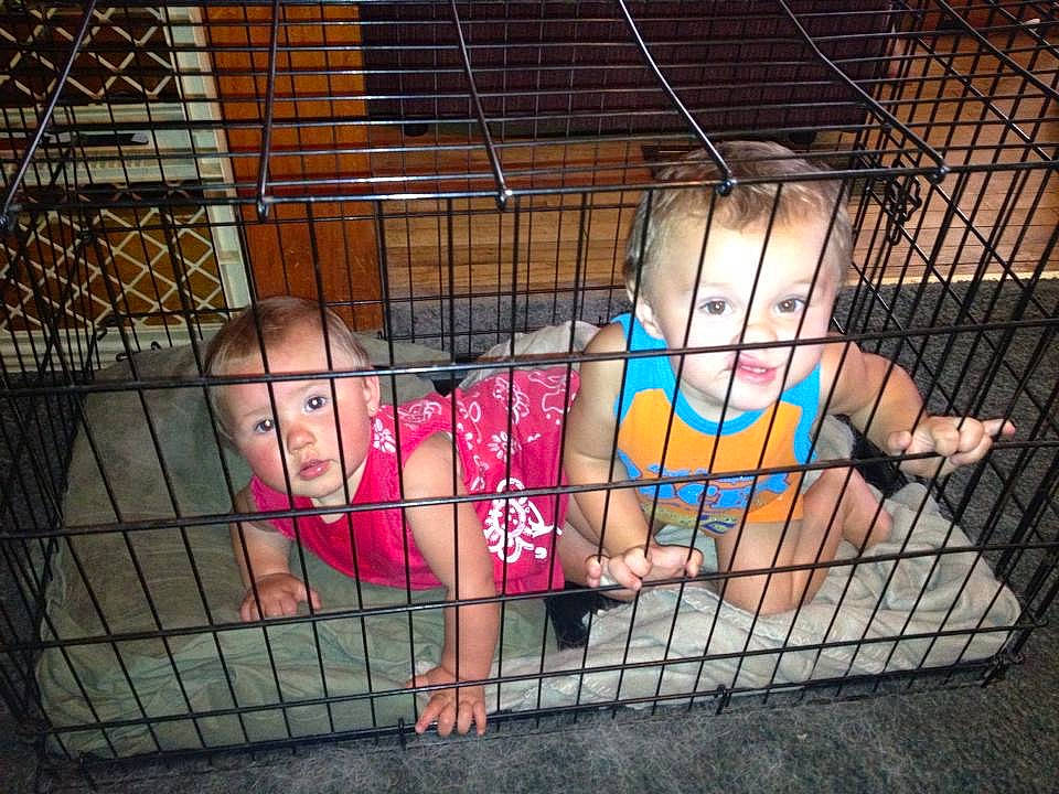 Seth is registered to the contest to win money with this photo: baby, cage, child, dress, face, fun, grass, hair, human, human_settlement, leg, leisure, line, mammal, mesh, metal, person, product, recreation, toddler