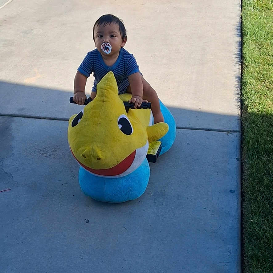 Jax joined the competition — help win amazing prizes! child, toddler, baby, dinosaur_toy, ride_on_toy, pacifier, outdoor, driveway, sidewalk, grass, sunlight, shadow, striped_shirt, seated, portrait, playtime, toy, yellow, blue, residential