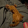 Yukio is registered to the contest to win money with this photo: cat, orange_cat, tabby, sleeping, relaxed, lying_down, belly_up, paws, whiskers, pink_nose, striped_tail, fur, pet, bed, quilt, blanket, bedroom, stuffed_toy, indoor, cozy
