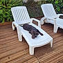 dog, puppy, labrador, white_sunbed, plastic_chair, wooden_deck, outdoor, greenery, bushes, pet, relaxing, laying_down, canine, summer, garden, nature, animal, daylight, backyard, resting