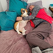 Nalla participe au concours pour gagner de l'argent avec cette photo : man, dog, bed, pillow, blanket, snuggling, indoor, casual_clothing, red_jacket, gray_sweater, brown_dog, white_dog, resting, relaxed, human, pet, companion, comfort, home