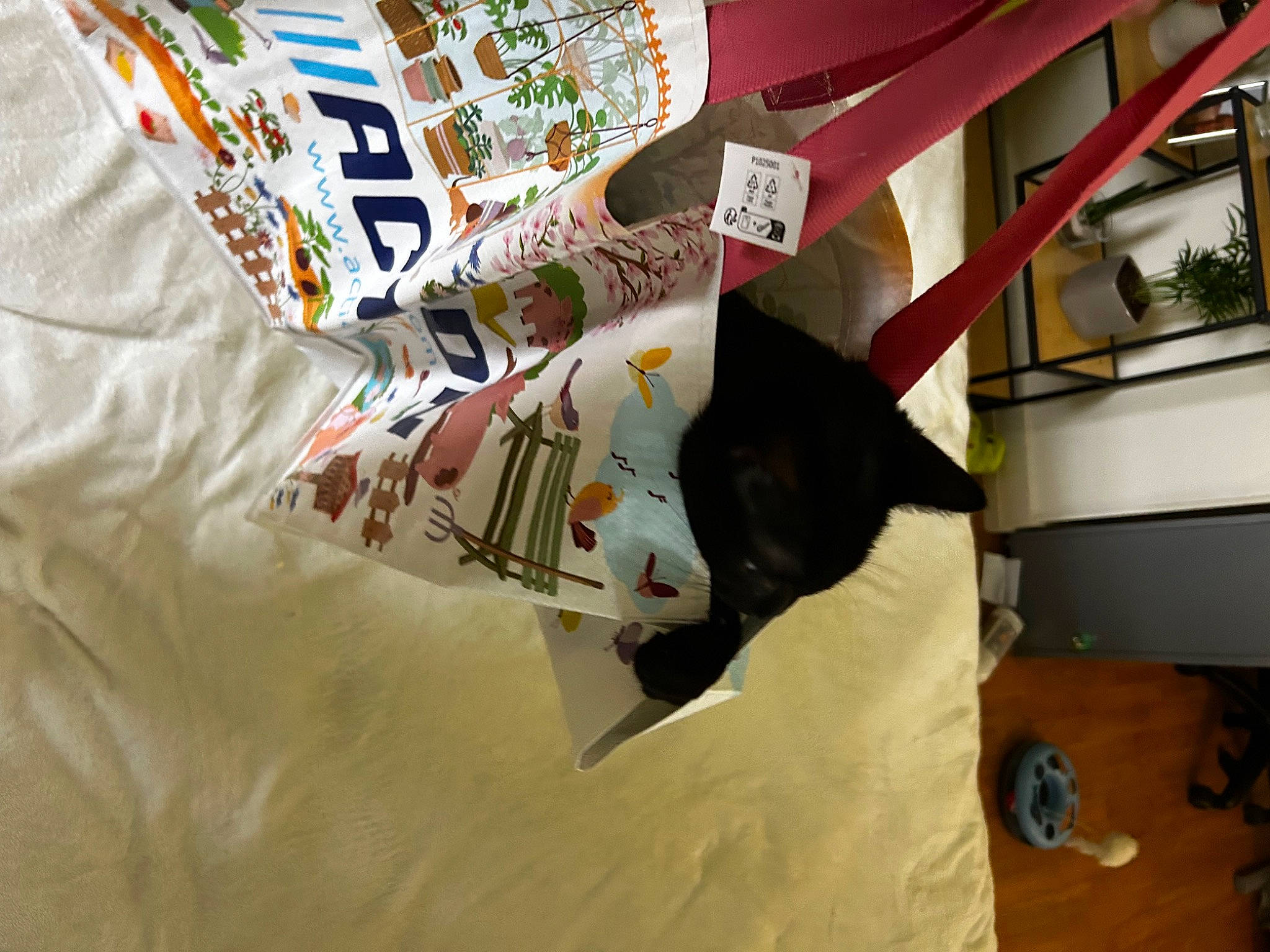 Cosmos a rejoint le concours — aidez-le/la à gagner de superbes lots ! bookcase, carmine, carnivore, cat, companion_dog, felidae, floor, flooring, fur, hardwood, linens, pattern, plant, publication, room, shelf, shelving, sleeve, small_to_medium_sized_cats, wood