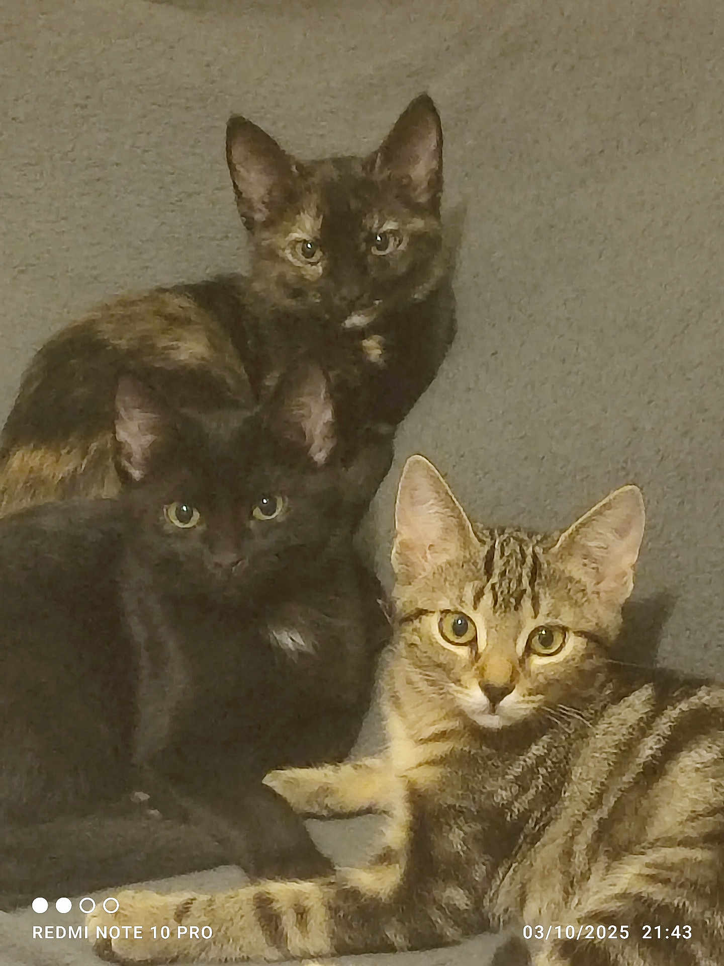 Trio