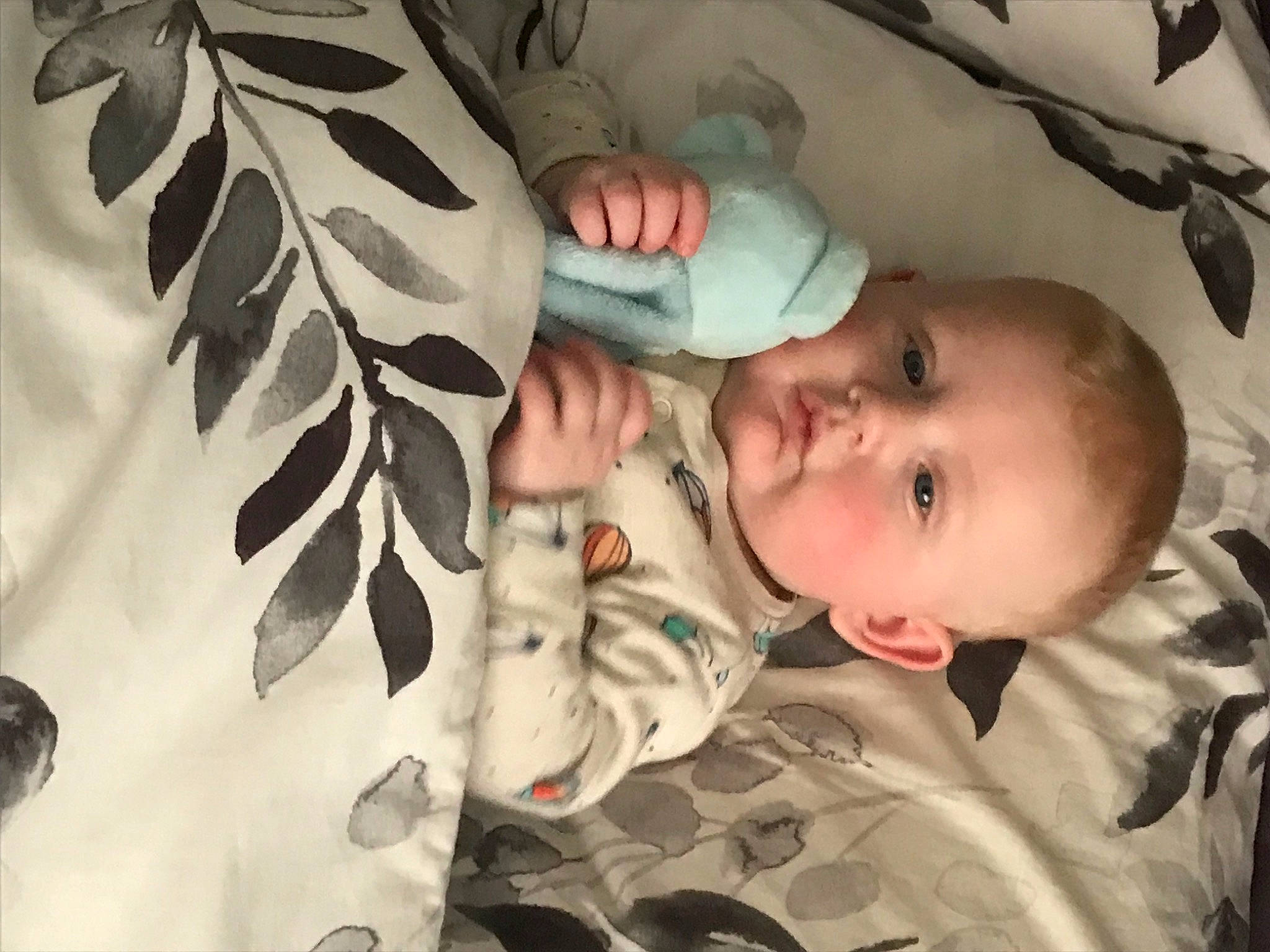 Leo-james is registered to the contest to win money with this photo: baby, baby_products, baby_toddler_clothing, cheek, child, comfort, eye, gesture, grass, head, human, leaf, pattern, person, plant, skin, sleeve, textile, toddler, tree