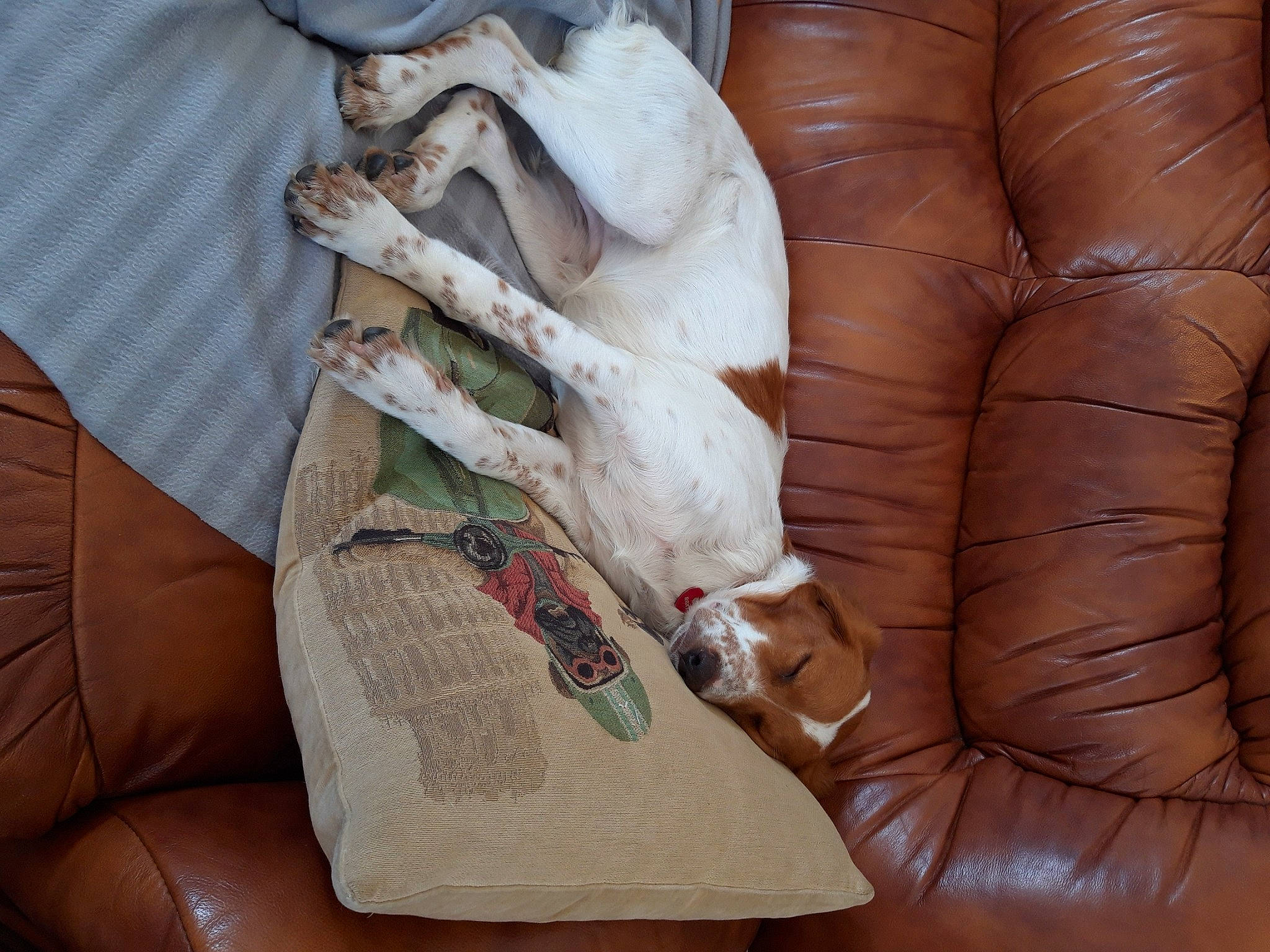 Roxy a rejoint le concours — aidez-le/la à gagner de superbes lots ! textile