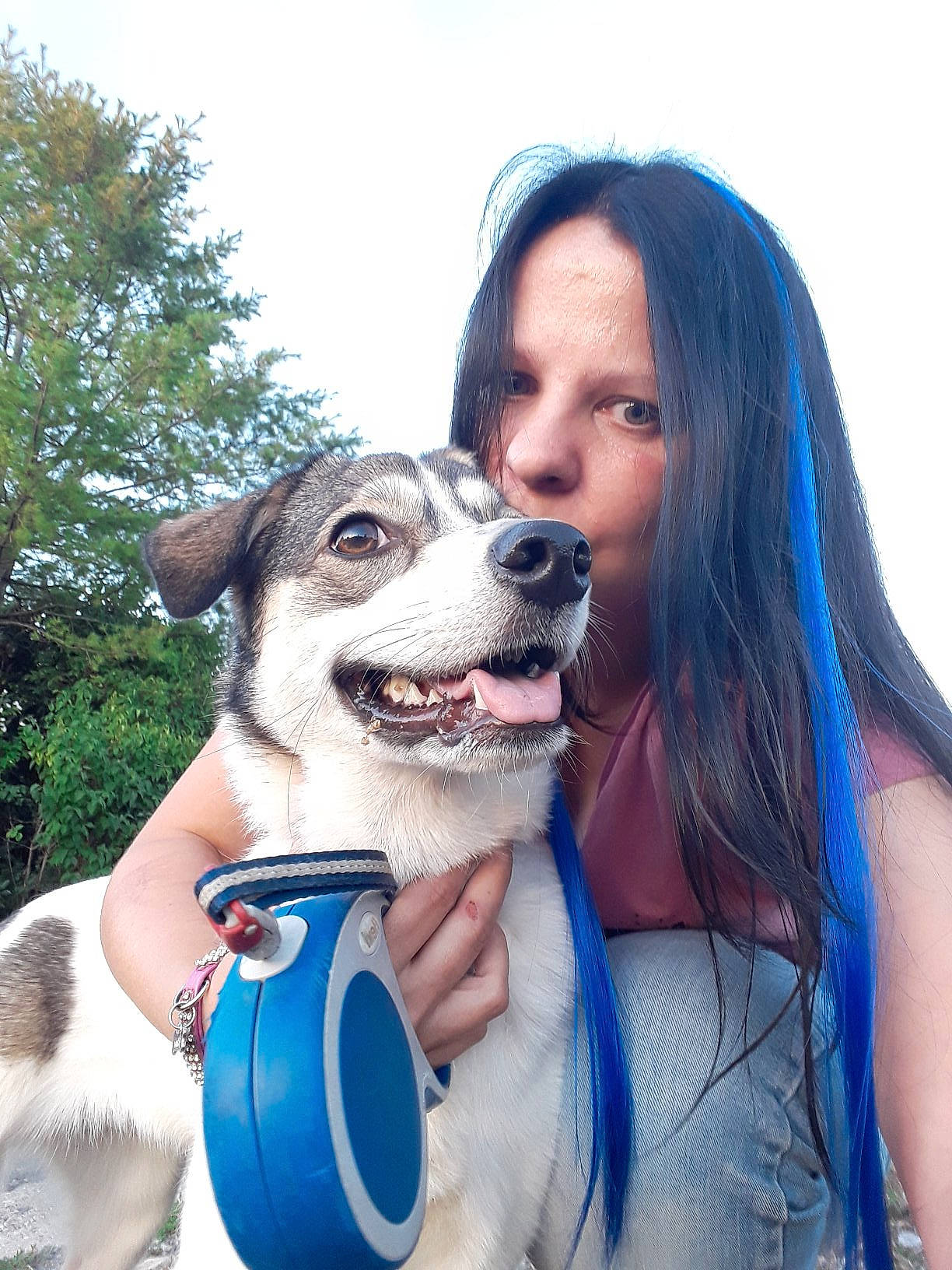 Louna participe au concours pour gagner de l'argent avec cette photo : carnivore, companion_dog, dog, dog_breed, drinking, drinkware, fawn, formal_wear, fun, fur, gesture, happy, leisure, mammal, recreation, sky, sporting_group, tableware, tree, vertebrate