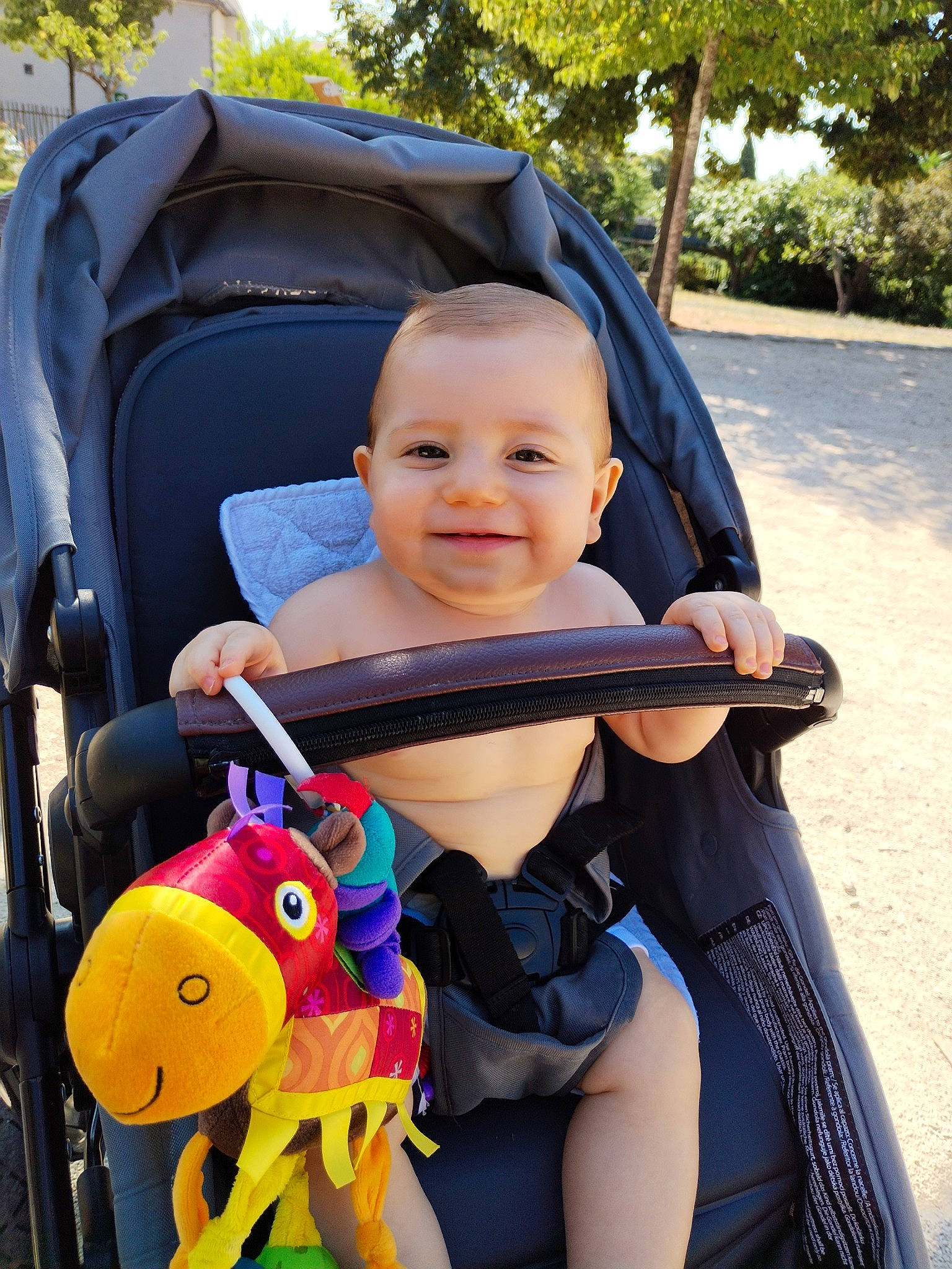 Wayden participe au concours pour gagner de l'argent avec cette photo : baby, baby_carriage, baby_products, baby_toddler_clothing, blue, electric_blue, eye, face, fun, grass, happy, head, joy, leisure, person, plant, product, smile, summer, toddler