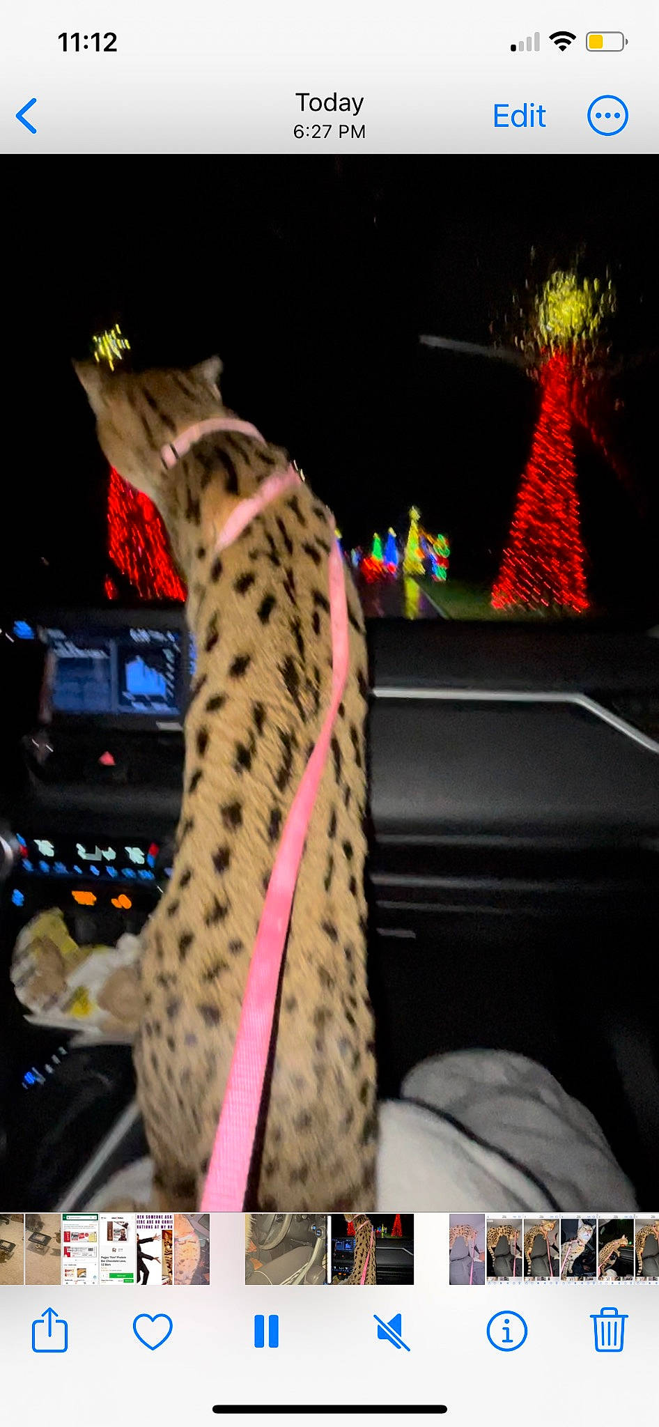 Cheetah Girl