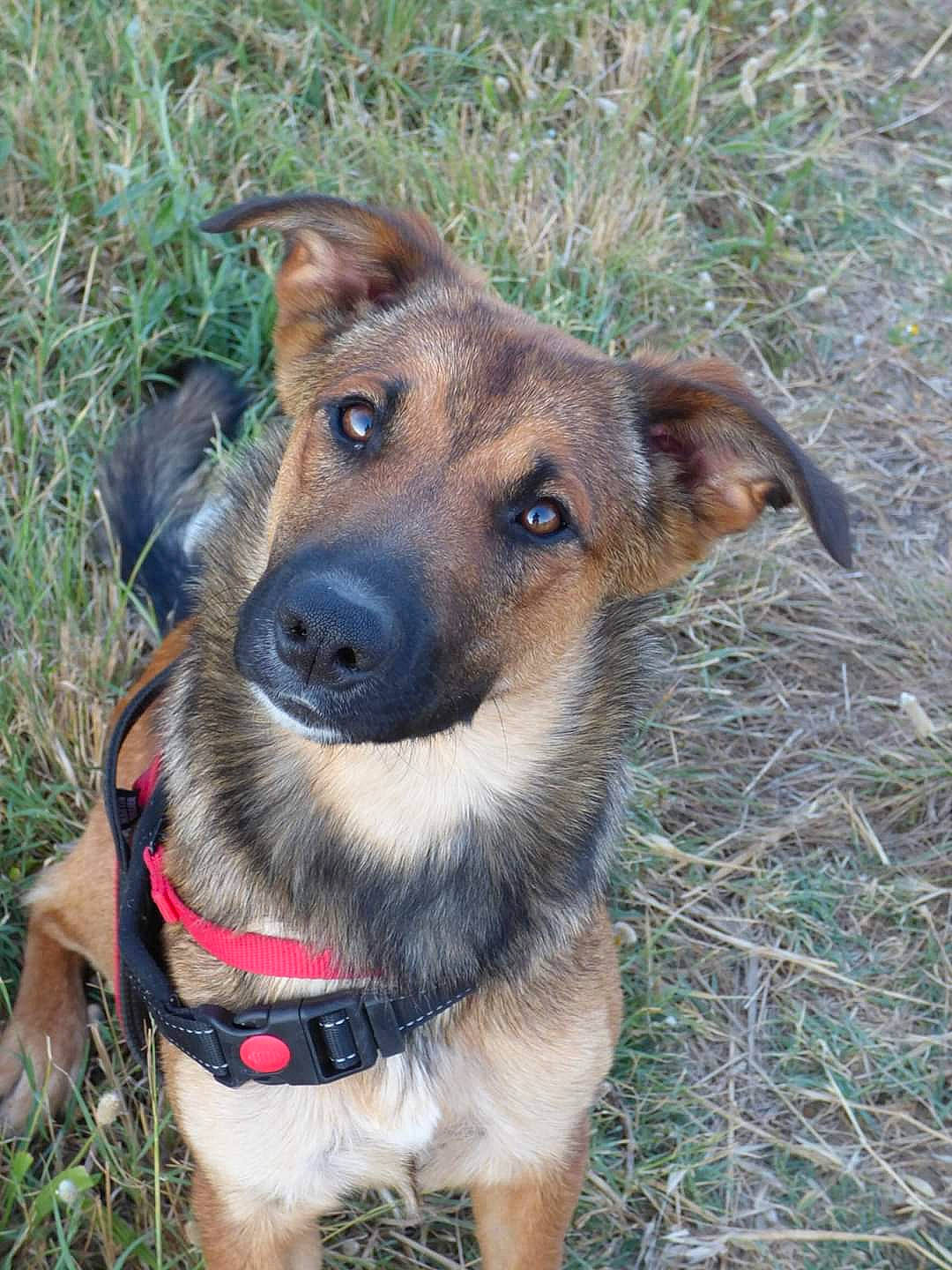 Nina