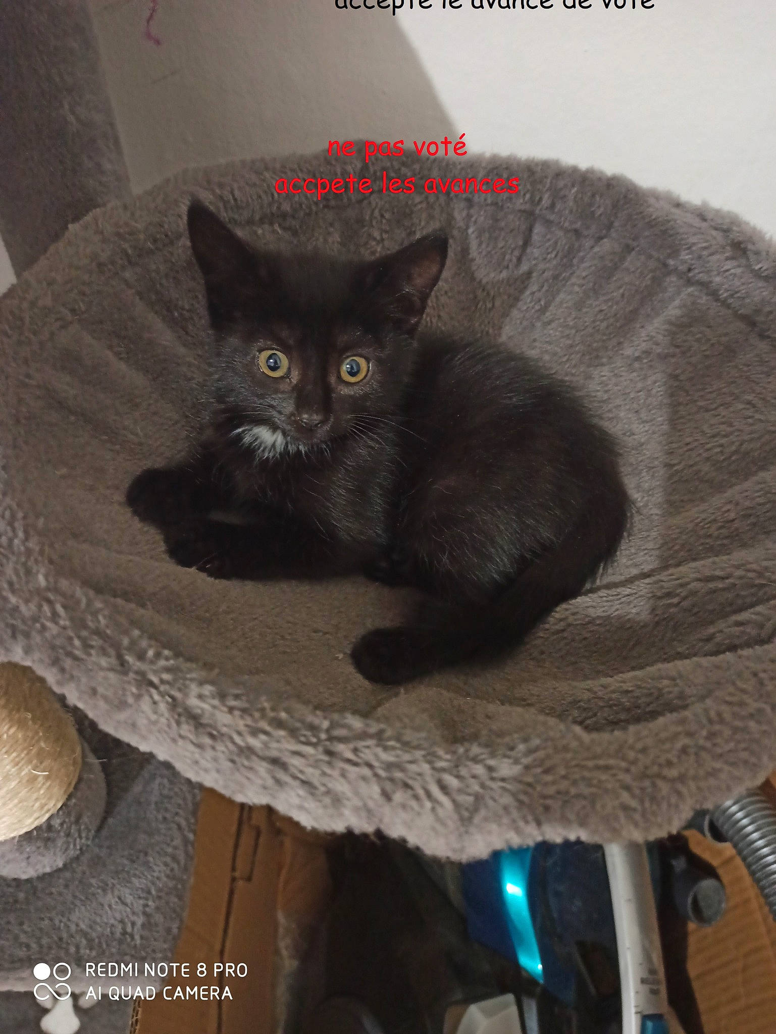 Suki