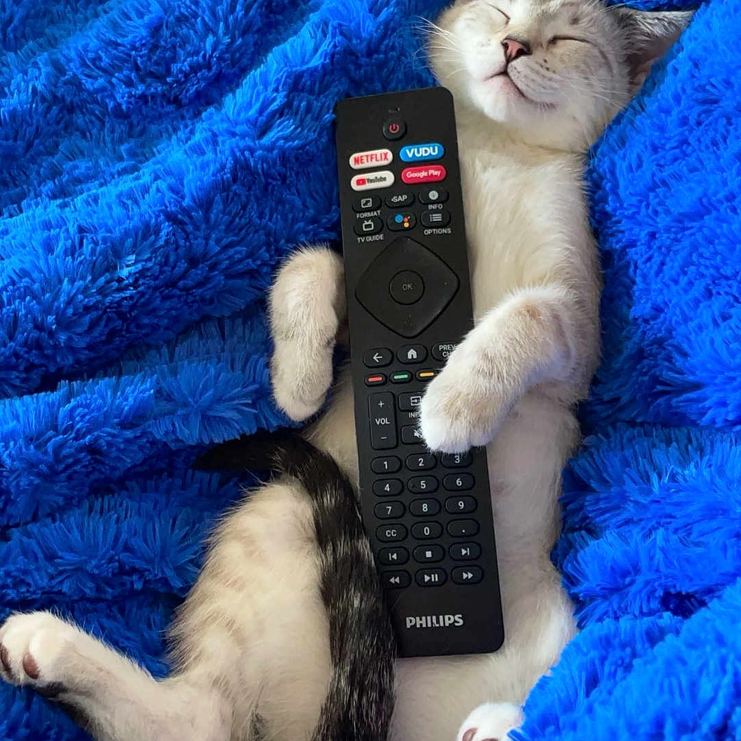 Tiggie
