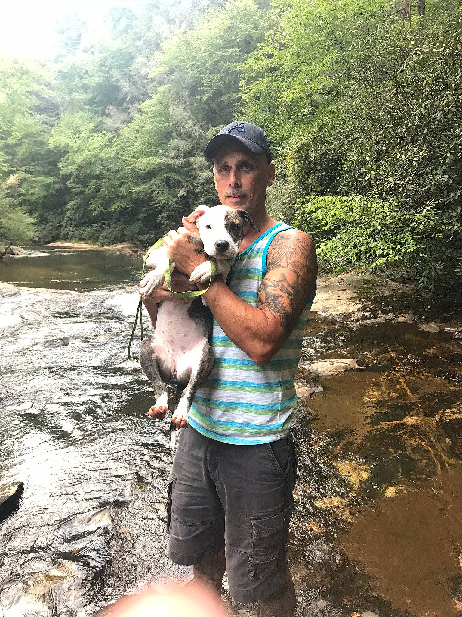 Tucker joined the competition — help win amazing prizes! adventure, arroyo, canidae, cap, carnivore, companion_dog, creek, dog, dog_breed, fluvial_landforms_of_streams, human, jungle, outdoor_recreation, rainforest, riparian_forest, riparian_zone, river, stream, toy, watercourse