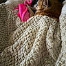 animal, bed, beige_blanket, blanket, comfort, cozy, dog, domestic, fur, fur_texture, indoor, pet, pink_blanket, relaxation, resting, side_view, sleepy, snuggling, soft_texture, warm