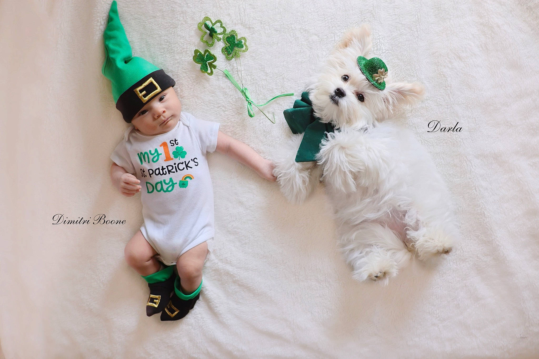 Darla is registered to the contest to win money with this photo: baby, baby_toddler_clothing, carnivore, christmas, companion_dog, costume_hat, dog_breed, fawn, fictional_character, font, green, happy, hat, holiday, mammal, plush, sleeve, stuffed_toy, t_shirt, toy