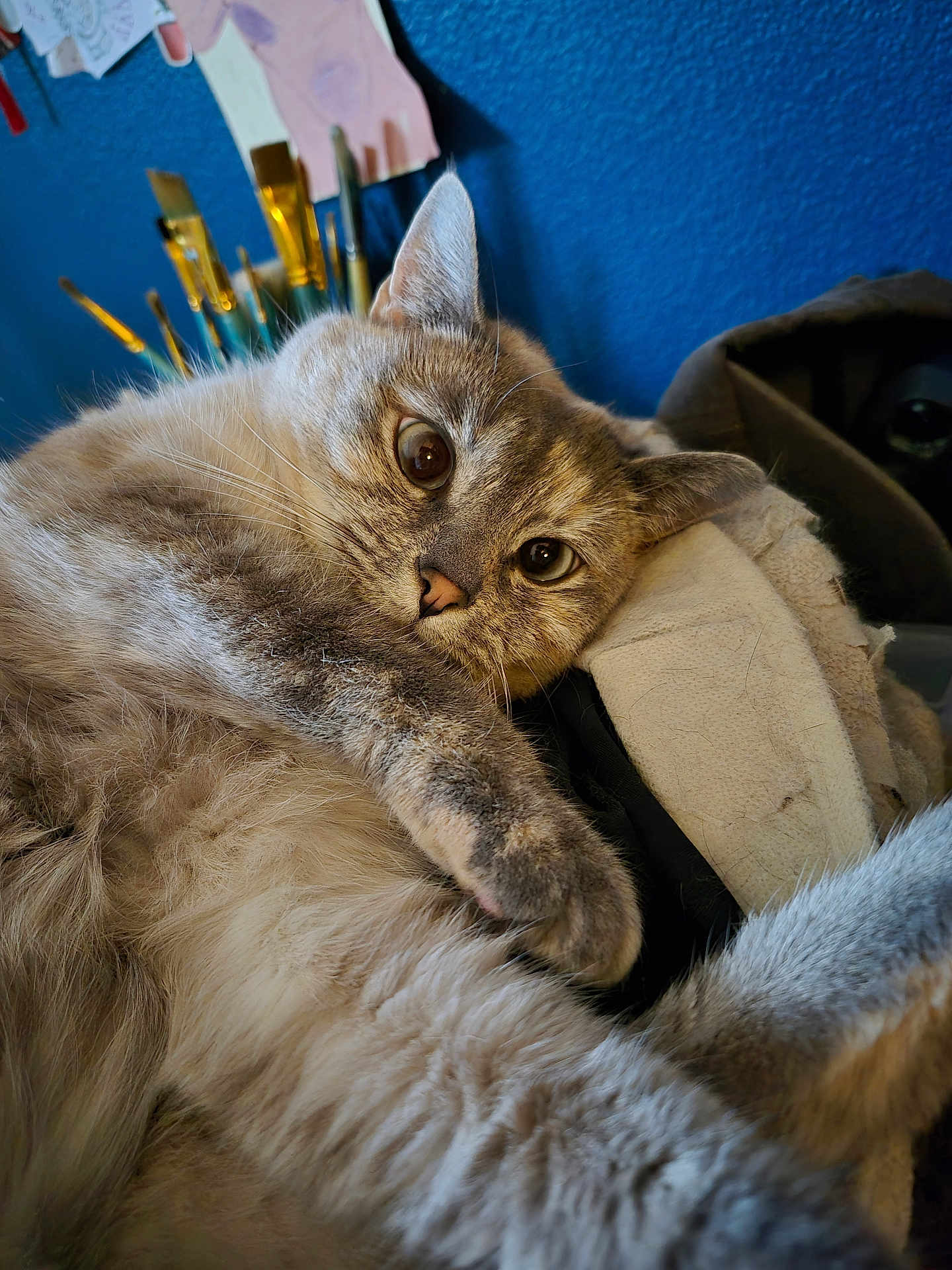 Nadia