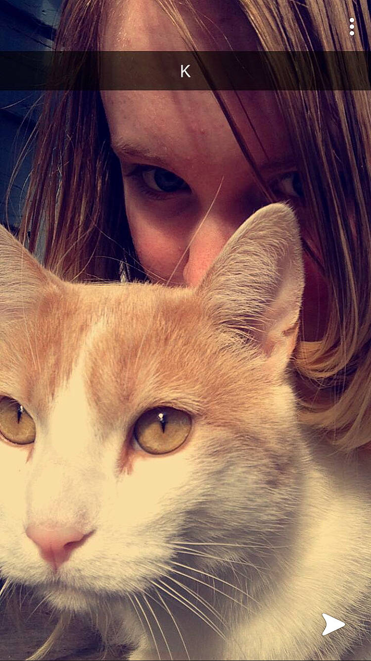 Richard is registered to the contest to win money with this photo: aegean_cat, carnivore, cat, close_up, ear, eye, eyebrow, face, felidae, forehead, head, iris, nose, ojos_azules, organ, photography, skin, small_to_medium_sized_cats, snout, whiskers