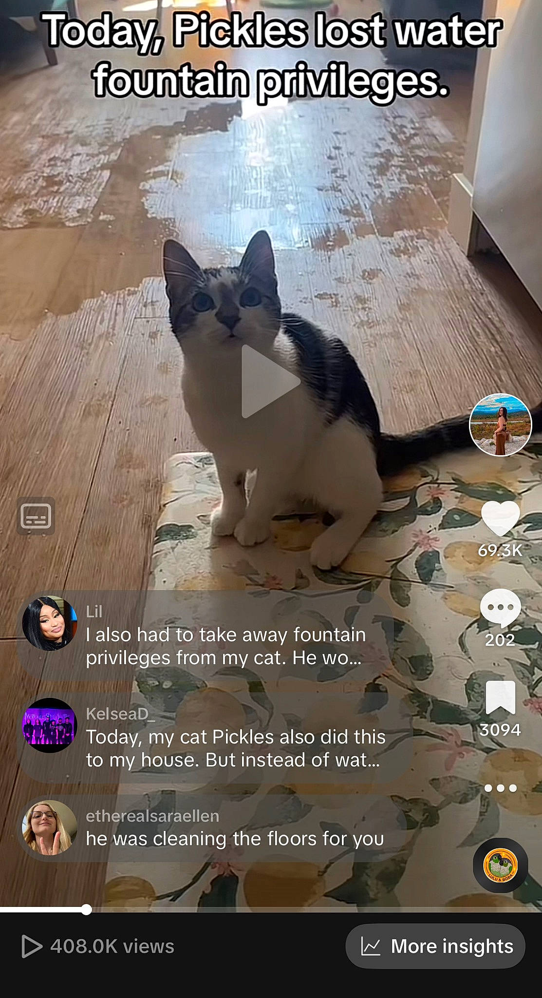 Pickles joined the competition — help win amazing prizes! advertising, canidae, carnivore, cat, companion_dog, felidae, floor, flooring, font, formal_wear, happy, hardwood, light, photo_caption, screenshot, small_to_medium_sized_cats, square, tail, whiskers, wood